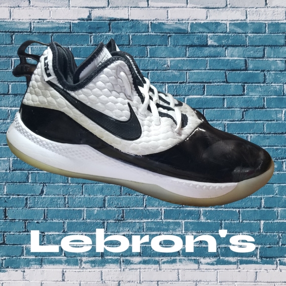 Nike Other - Nike LeBron Witness 3 Premium Concord